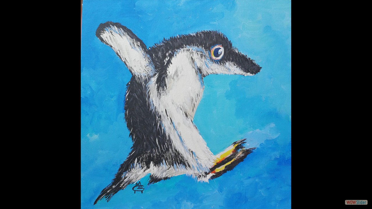 pinguin springend